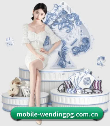 公司成立